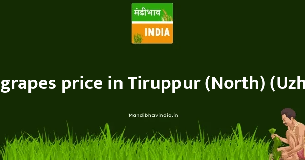grapes price